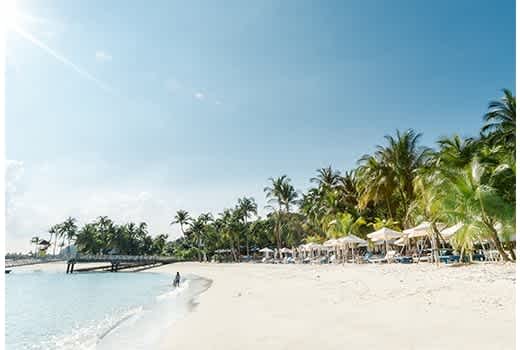 Coastes Beachfront 520x350px